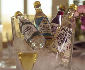 瑞典酒精飲料企業尋求中方合作伙伴 共拓酒精與脫醇酒市場新機遇